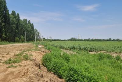 Teren Construcții intravilan de 45552 mp, în Splaiul Unirii - 6