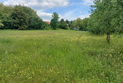Teren de 2500 mp, în Drajna - 2