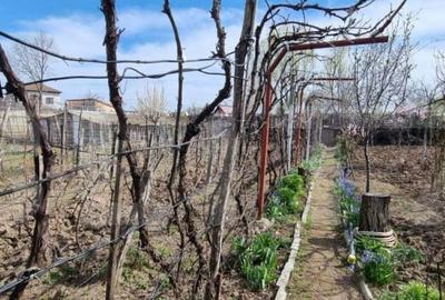 Casă cu 5 camere cu Teren 1000 Mp în Bariera Vâlcii - 2