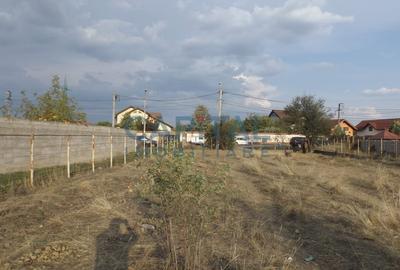 Teren 1369 mp – Strada Panduri / Aleea Constantin Chirita, Targu Jiu - 5