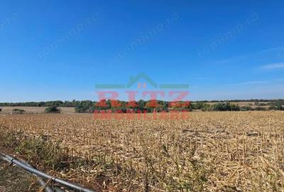 Teren de 56800 mp, în Fărcașele - 8
