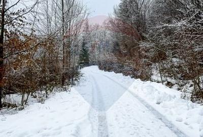 Teren Construcții intravilan de 1794 mp, în Moroeni - 4