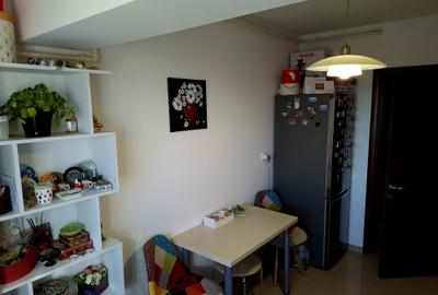 2 camere Craiovei , mobilat / utilat , Amplasament DEOSEBIT !!! 2 camere Craiovei , mobilat / utilat , Amplasament DEOSEBIT !!! - 13