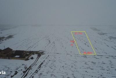 Teren de 5000 mp, în Ciorogârla - 2