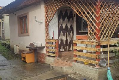Casă cu 4 camere în Pietroasele - 10