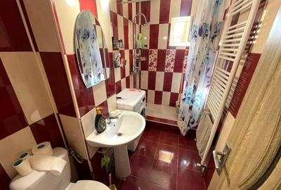 Apartament cu 2 camere semidecomandat în Cetate - 3