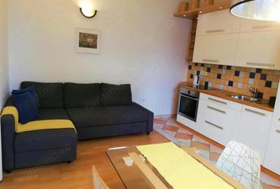 Apartament cu doua camere in zona Piata Maria de inchiriat - 5