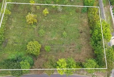 Teren în Viile Satu Mare - 3