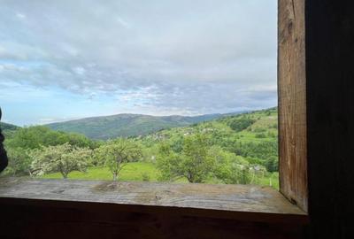 Cabana de 210mp, 2600 mp teren, in Rachitele - 2