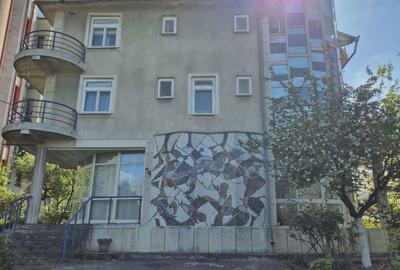 Casă cu 4 camere în Radu Negru - 5