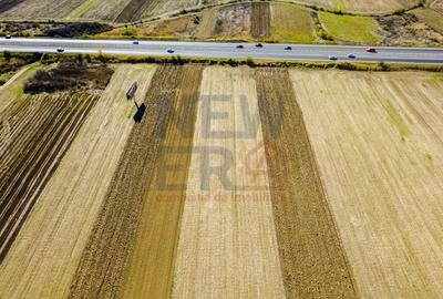 Terenuri industriale cu deschidere la A1, km 64 – Jugureni, Dambovita - 5