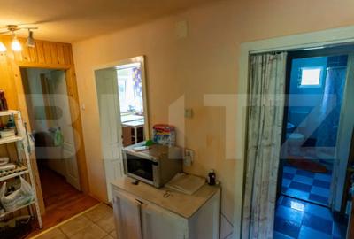 Casă cu 3 camere cu Teren 4000 Mp în Rovina (Brănișca) - 14