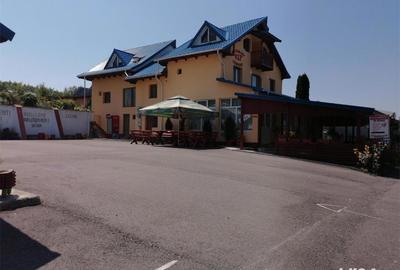 Spațiu comercial, de 500 mp, în Baia de Fier - 2