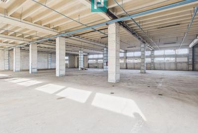 Centru Logistic – Platformă Industrială Oradea - 9