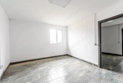 Hale depozitare/produc?ie 2.000 mp si 10.000 mp teren in Pecica - 1