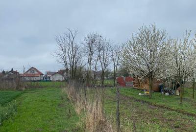 Spațiu comercial, în Lazuri - 7