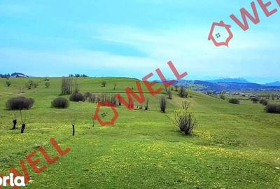Teren de 6519 mp, în Barcani - 8