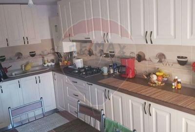 Casa / Vila cu 4 camere de vanzare in zona Brestei