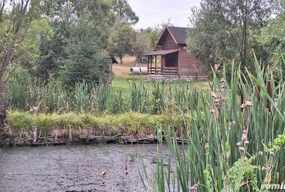 VANZARE ANSAMBLU CASUTE BRADULET ARGES - 5