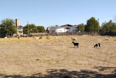 Spațiu comercial, în Băleni - 2