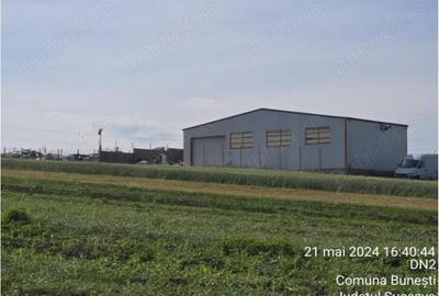 Teren de 6461 mp, în Bunești - 2