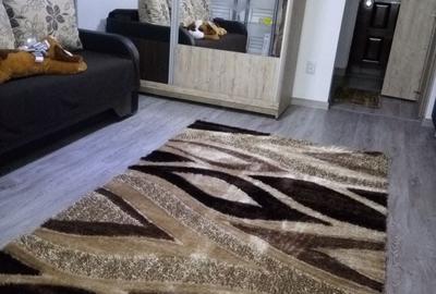 Garsonieră semidecomandată în Aleea Carpați - 4