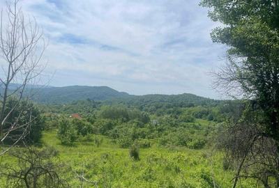 Teren de 6000 mp, în Urluiești - 7