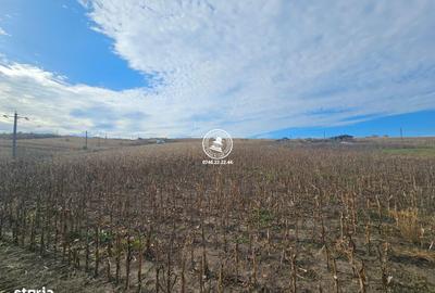 Teren de 11000 mp, în Miroslava - 3