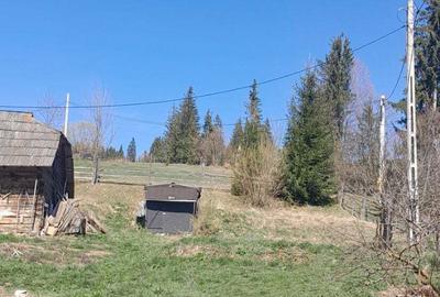 Casă cu 3 camere cu Teren 3892 Mp în Dorna Candrenilor - 2