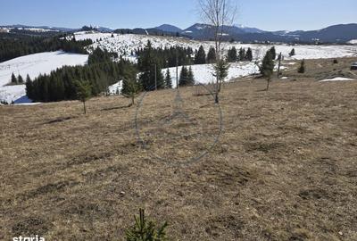 Teren de 1500 mp, în Tiha Bârgăului - 1