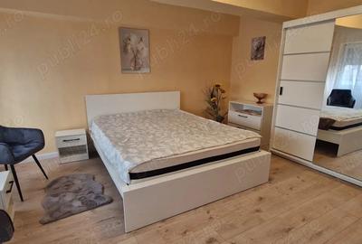 Garsonieră decomandată în Nufărul - 3