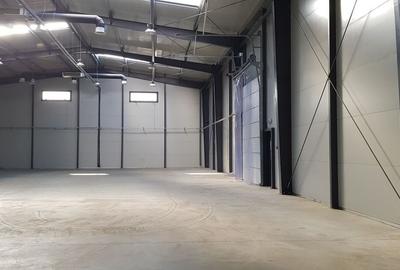 Spatiu de depozitare si productie Mogosoaia - 3