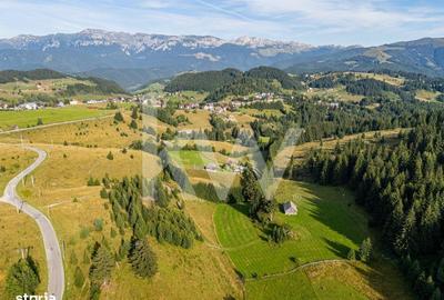 Teren de 18044 mp, în Dâmbovicioara - 11