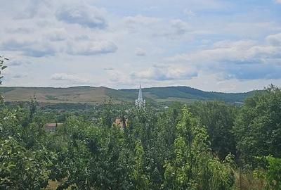 Casă cu 4 camere în Viișoara - 7