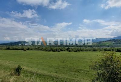 Teren Intravilan Tarlugeni - 4