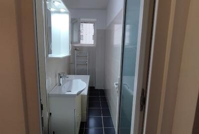 Garsoniera de inchiriat 1 Decembrie/Trapezului - 4