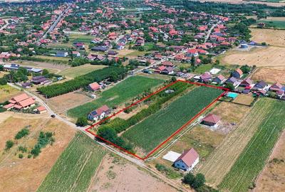 Teren Construcții intravilan de 8000 mp, în Biharia - 2