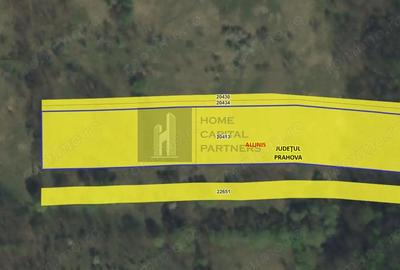 Teren de 9845 mp, în Aluniș - 2