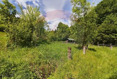 Comision 0%! Proprietate in natura, priveliste superba, S... - 12