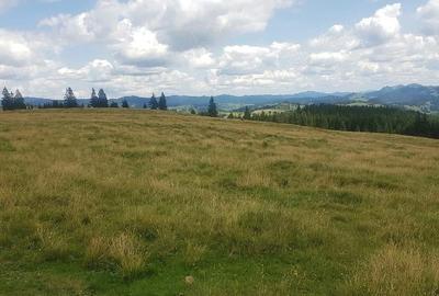 Teren de 160000 mp, în Breaza - 1