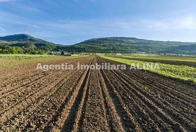 Teren de 4094 mp, în Șoimuș