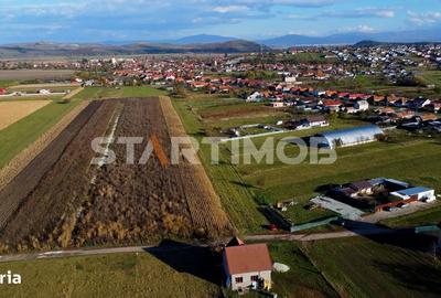Teren de 3000 mp, în Bod - 10