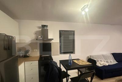 Ichiriere Apartament 2 Camere Nord - 3