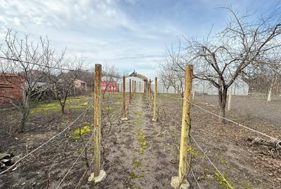 Casă individuală cu 3 camere cu Canalizare în Central - 10