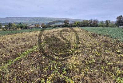 Teren intravilan de vanzare | 3.084mp | Plavia - Urlati |... - 3