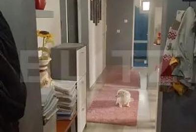 Apartament cu 3 camere decomandat în Central - 10