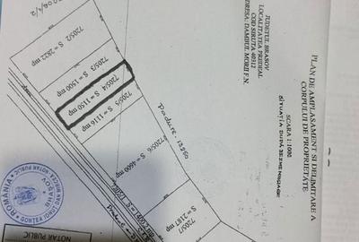 Teren de 1150 mp, în Dâmbul Morii - 1