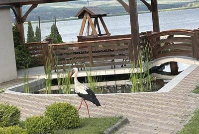 De vanzare vila (669mp) pe malul lacului Ca?la, zona 9 Mai, Tulcea (1063mp curte) - 12