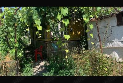 Casă în Central - 1