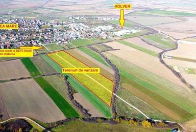 Terenuri Remetea Mare, cu toate utilitatile - 69euro/mp+TVA - 2